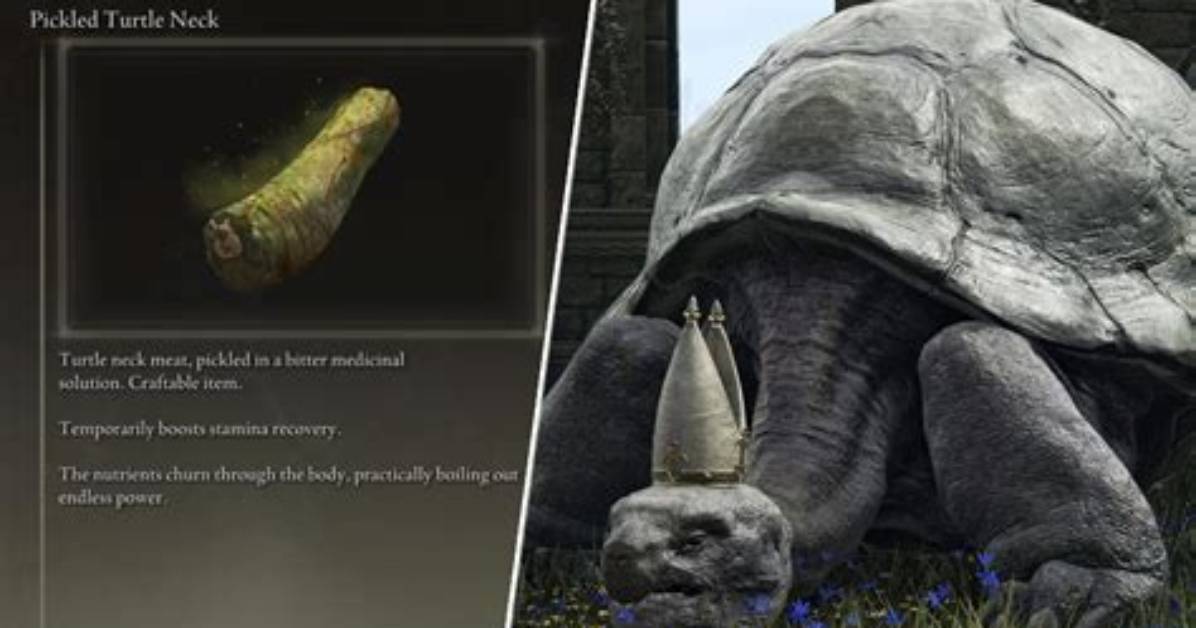 Elden Ring’s Turtles Are So Much More Than Grade-a Meme Fodder