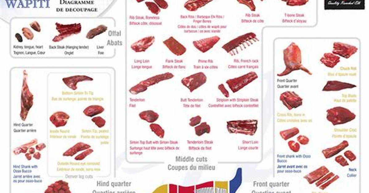 Elk Meat Cuts