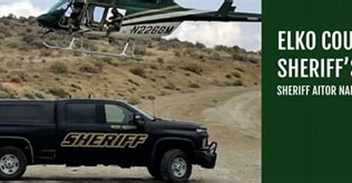 Elko County Sheriff's Office Warns of Wells Fargo Phone Scam | News