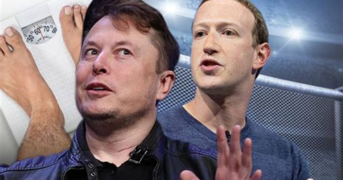 Elon Musk-Mark Zuckerberg Bout Held up Due to Size Difference