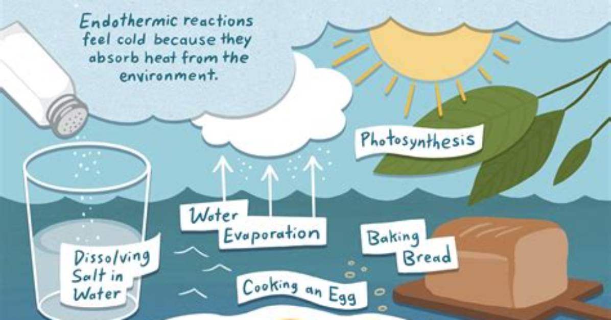 Endothermic Reaction Examples
