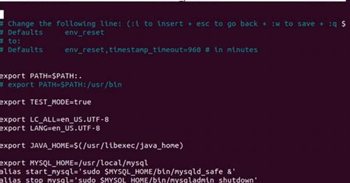 Environment Variables in Bash_Profile or Bashrc?