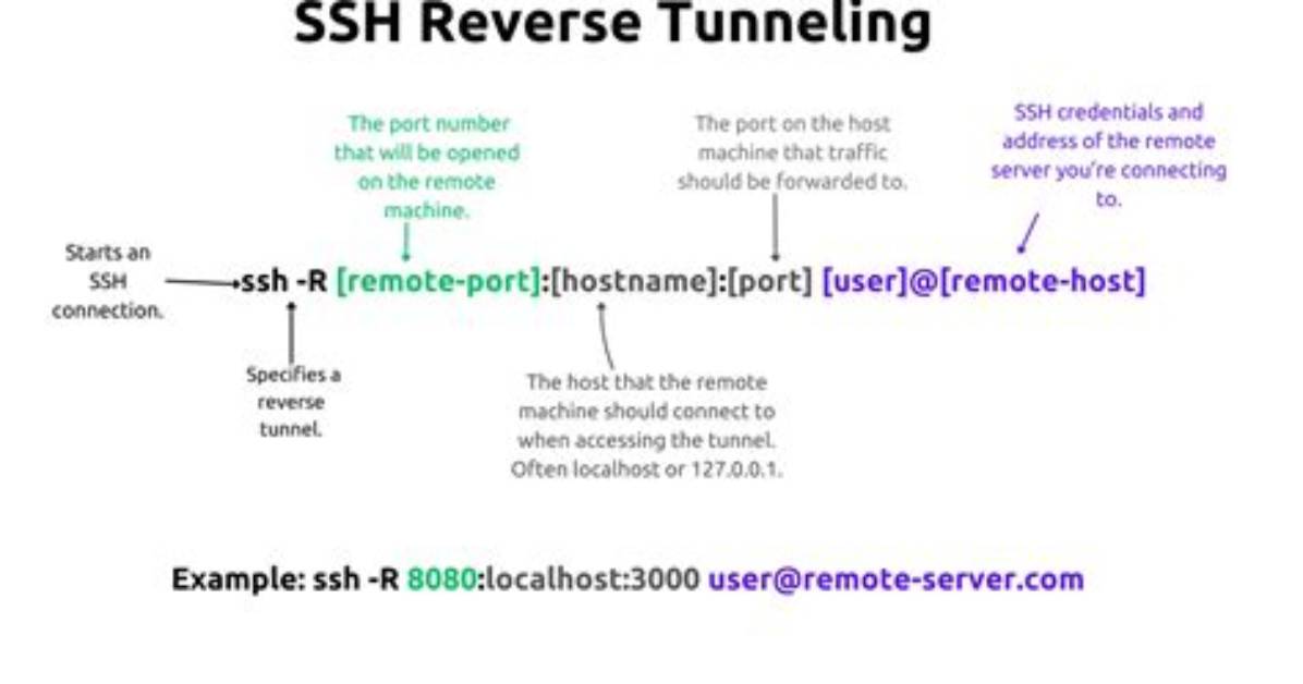 Establishing Persistent Autossh Reverse Ssh Tunnel