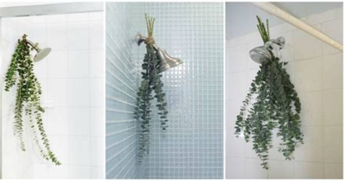 Eucalyptus 'Bath Bouquets' Are the Easiest Way to Make Your Shower Smell Amazing