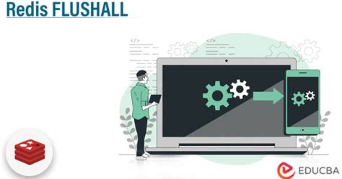 Execute Redis Flushall Command in Rails Application