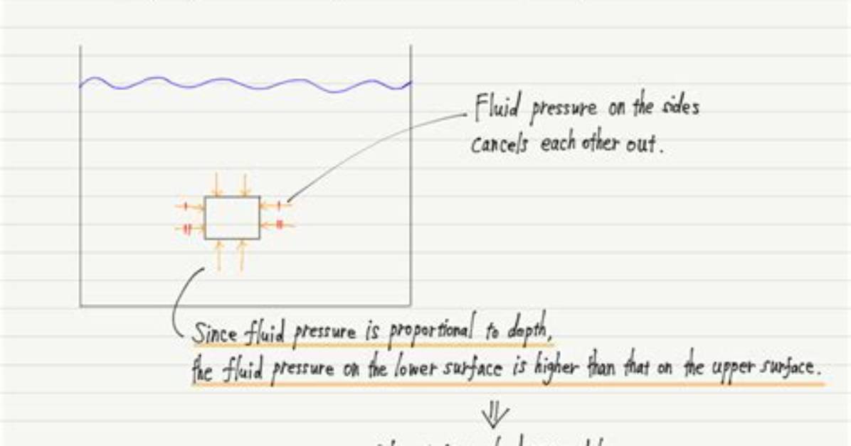 Explain How Differences in Fluid Pressure Create Buoyant Force on an Object