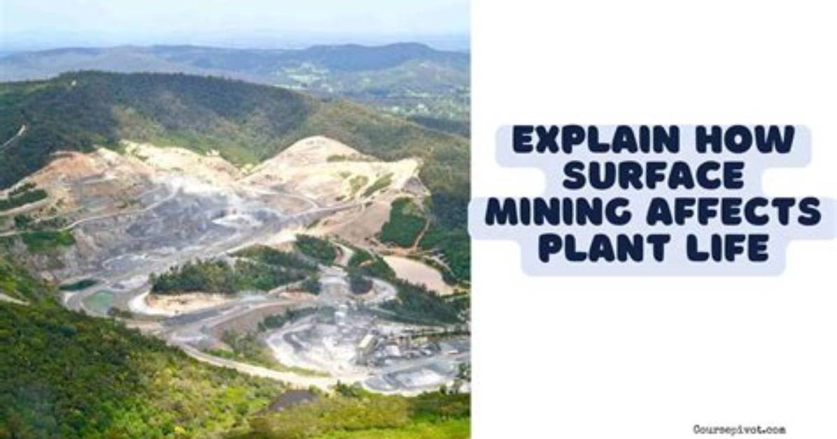 Explain How Surface Mining Affects Plant Life
