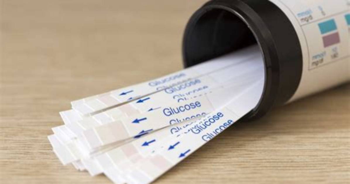 Explain Why a Glucose Test Strip May Be Used to Determine the Enzymatic Activity of Lactase.