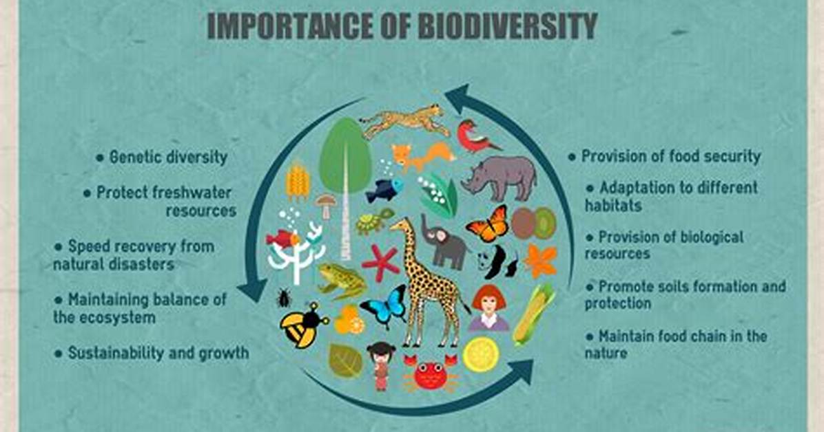 Explain Why Reserves Protect Biodiversity