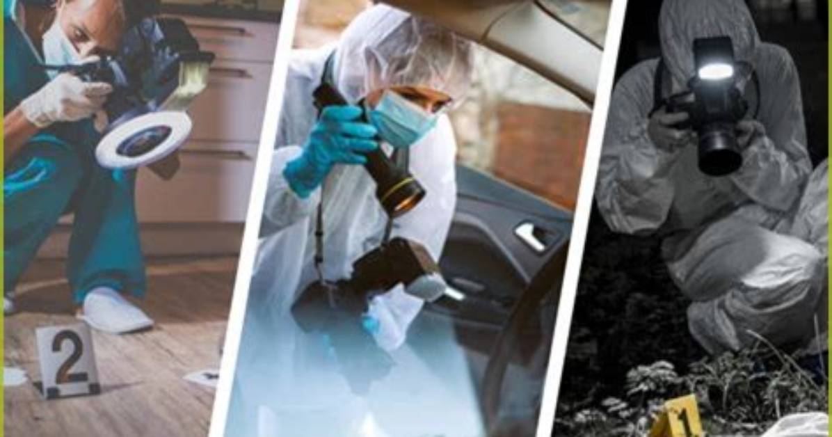 Exploring Crime Scene Evidence Through Photographs
