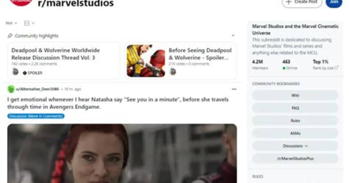 Exploring the Marvel Studios Community on Reddit