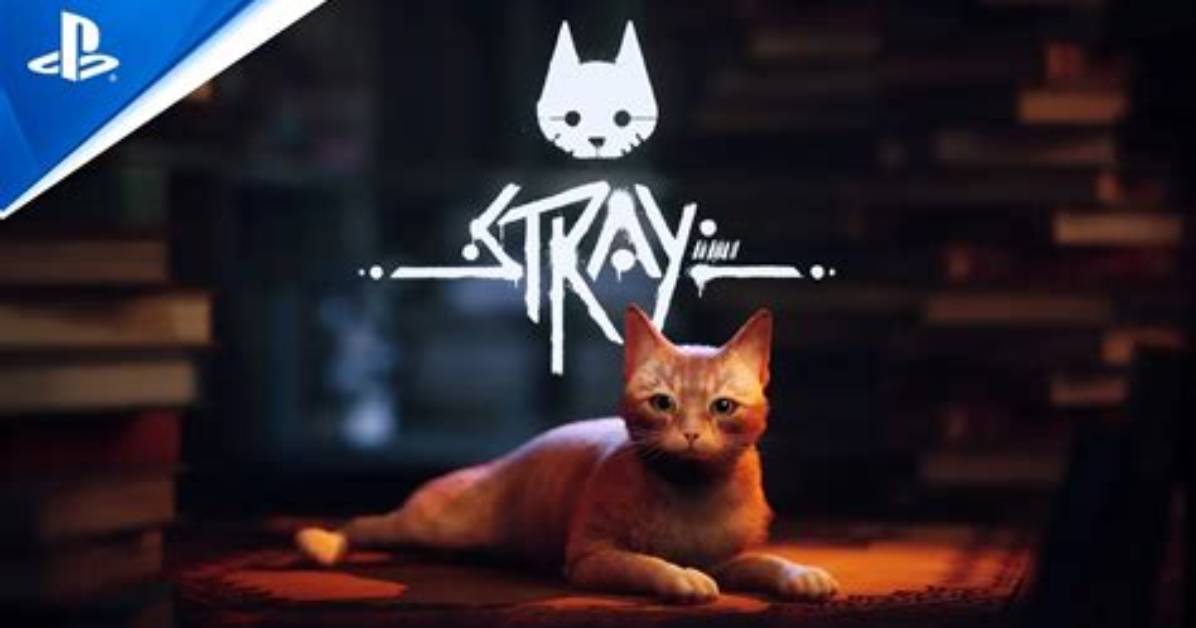 Exploring the Stray Playstation: a Journey Through a Feline Adventure