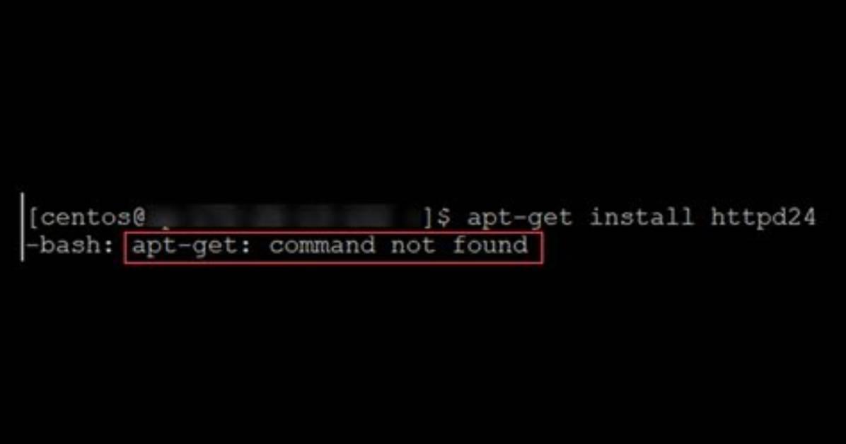 Express Command Not Found
