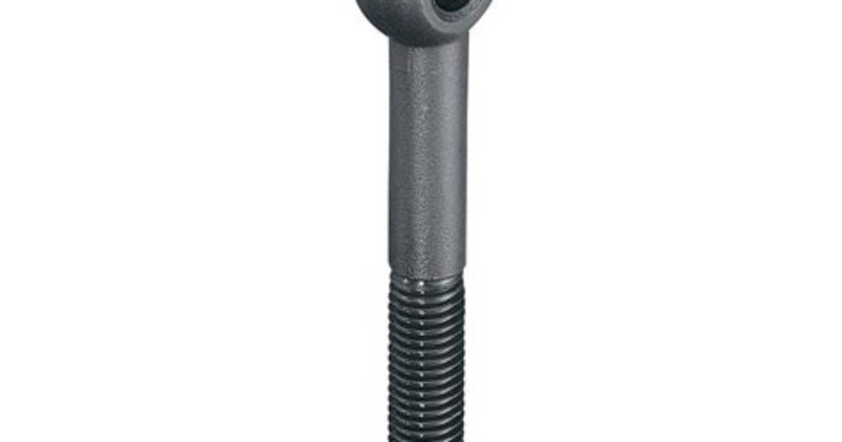 Eye Bolt for Tree Swing