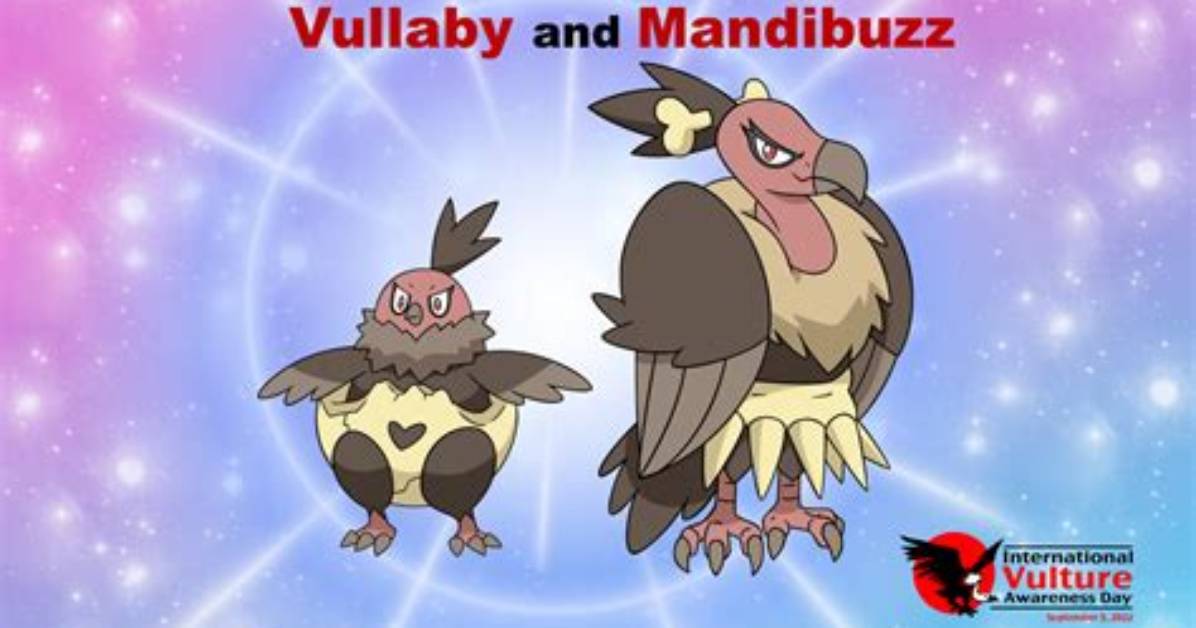 Farm and Evolve Vullaby into Mandibuzz in Pokemon Sword and Shield