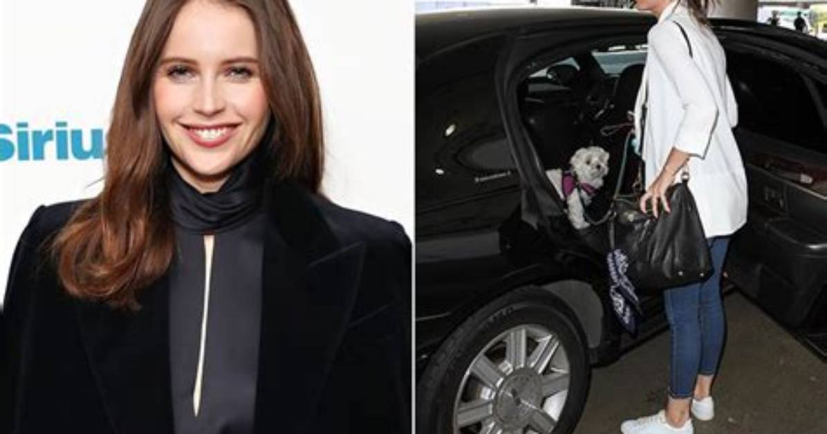 Felicity Jones Net Worth