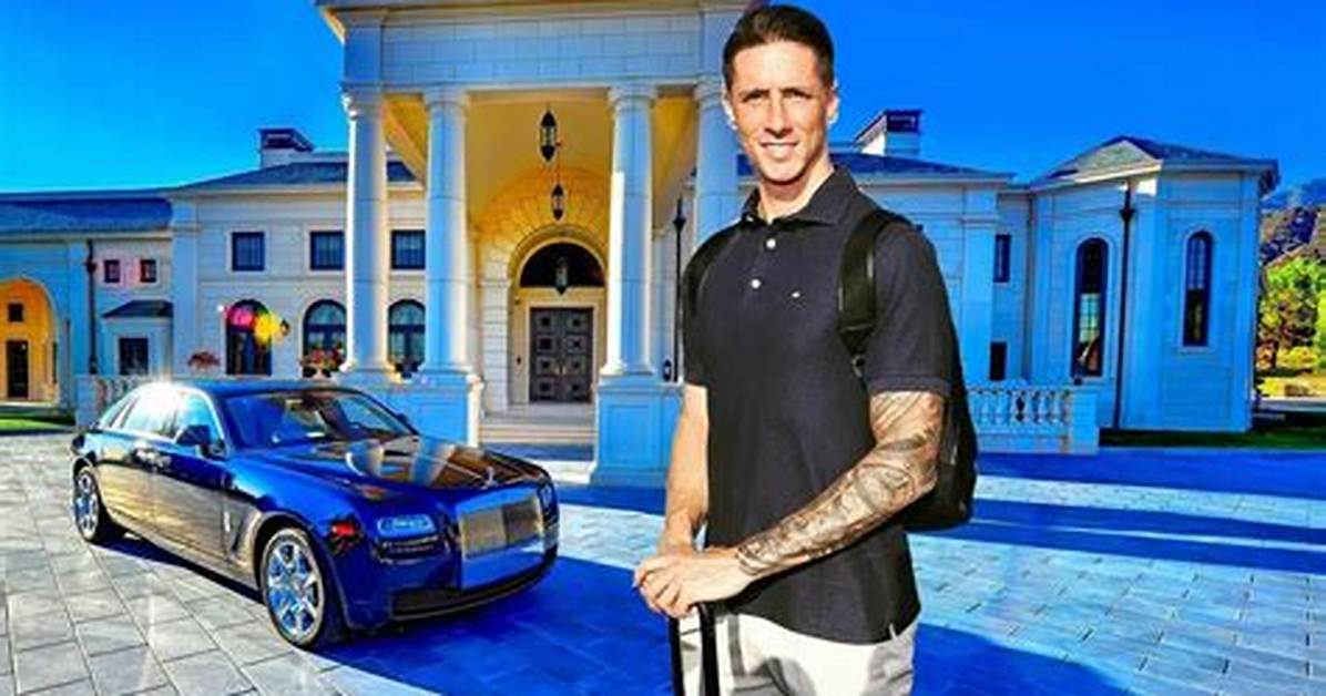 Fernando Torres Net Worth