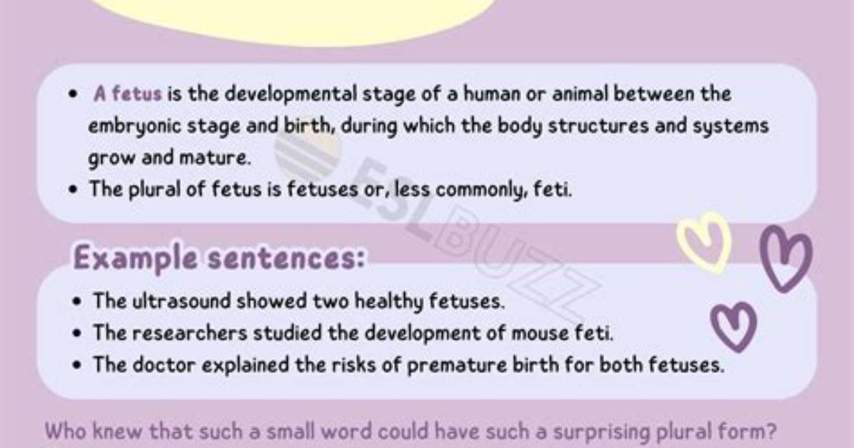 Fetus Plural