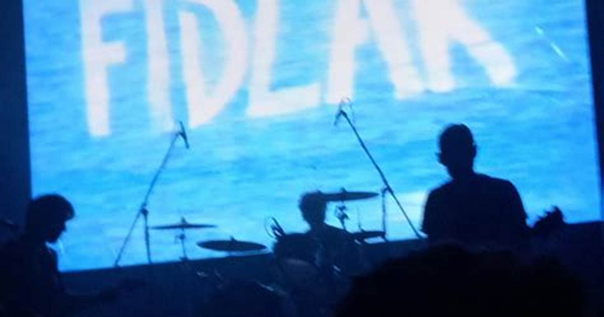 Fidlar Allegations: Details on the Rock Band Members and Their Controversy