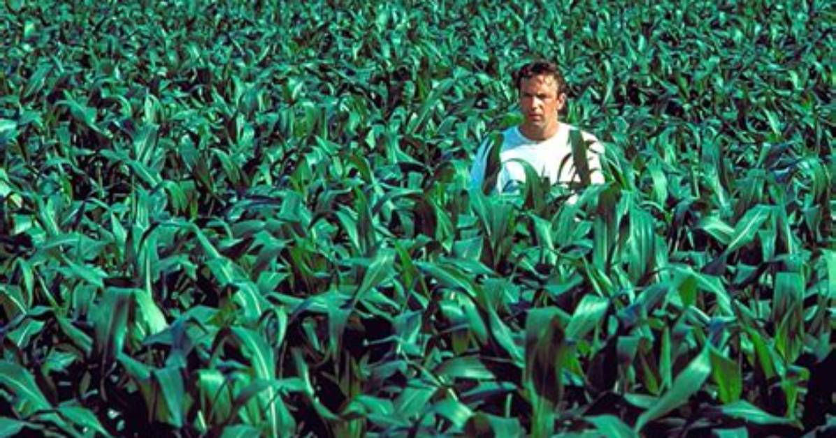 'Field of Dreams' Tv Series Not Moving Forward at Peacock