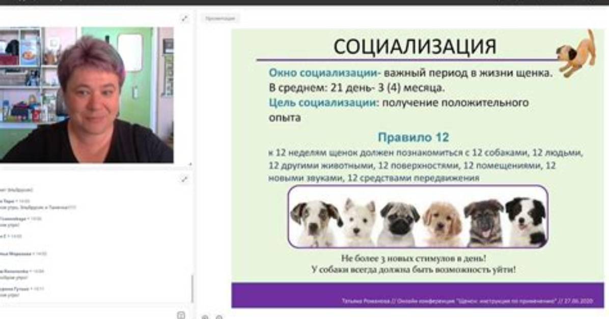 Filerepmetagen [Pup]