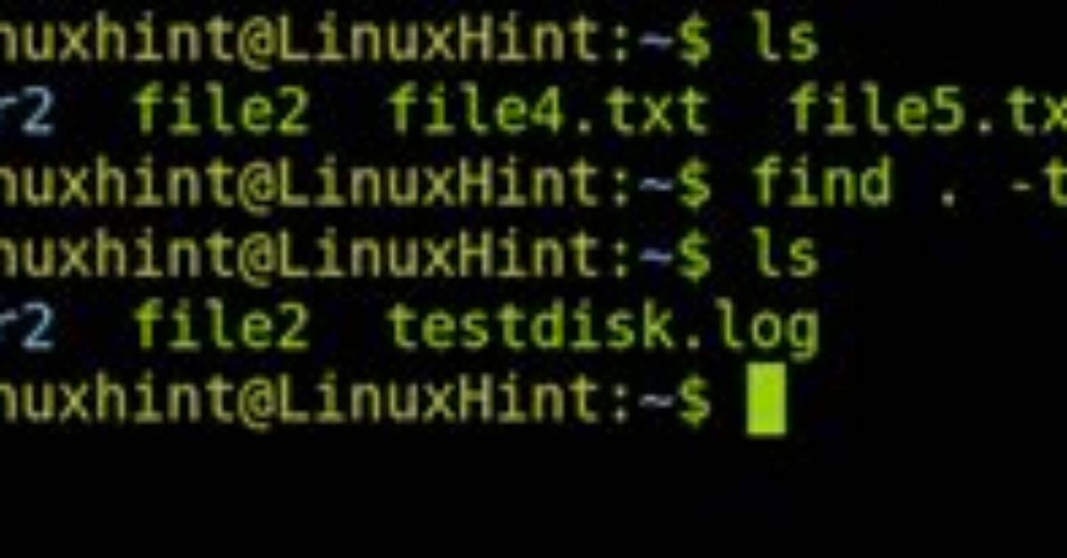 Find -Exec Rm -R Print Delete