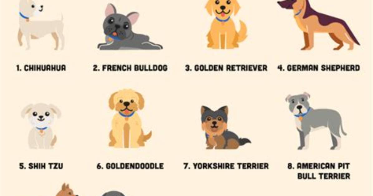 Find the Most Popular Dog Breed for Your Zodiac Sign