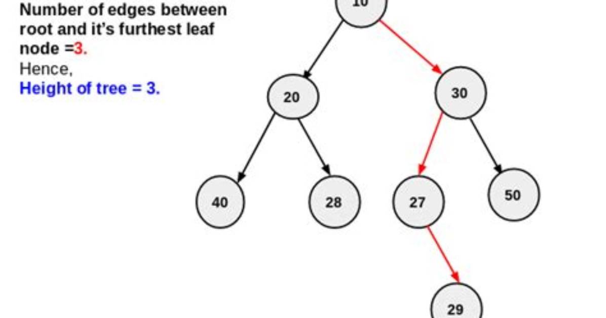 Finding Height in Binary Search Tree