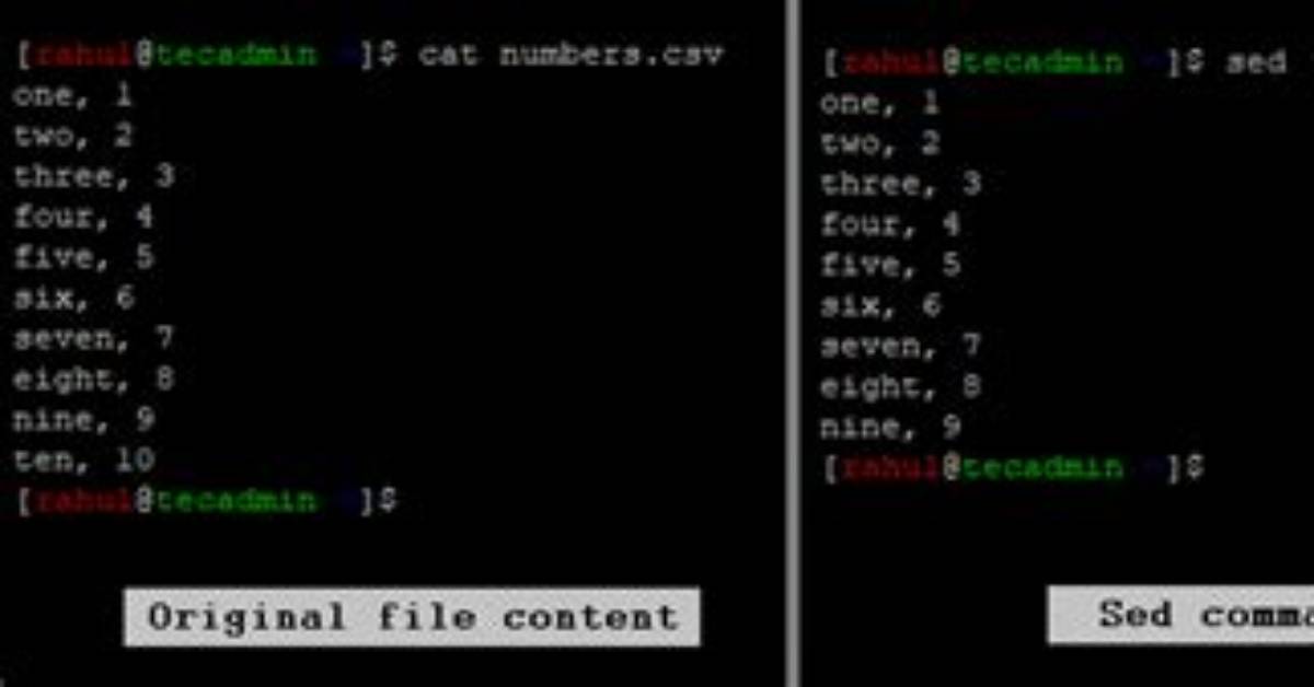 Flags Inside Sed Command File