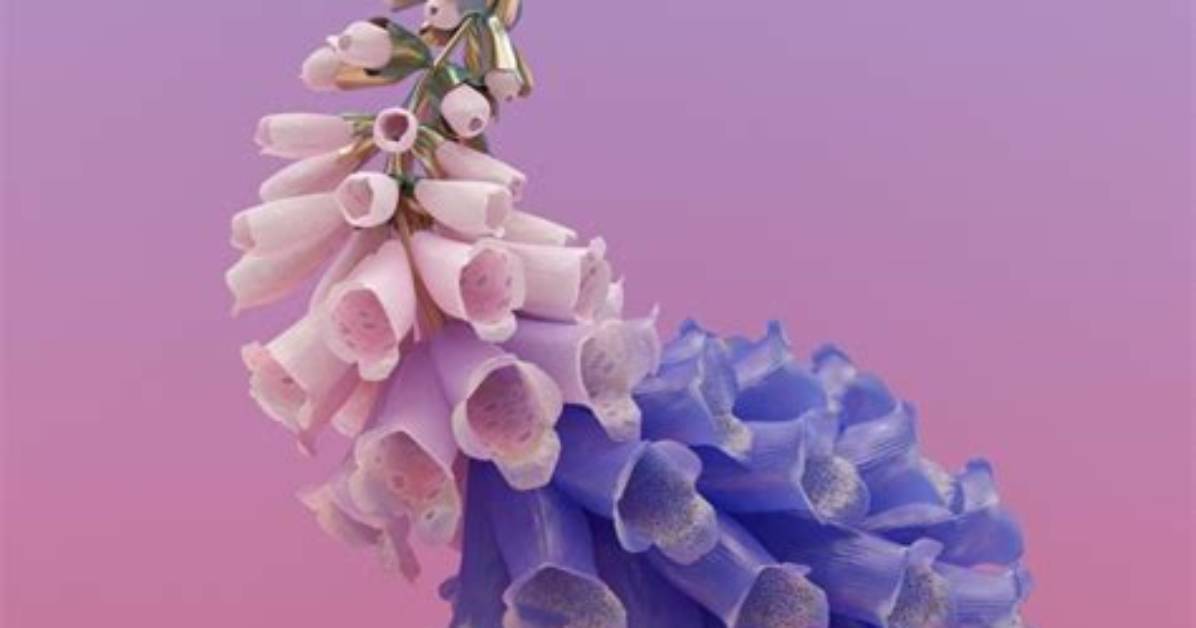 Flume