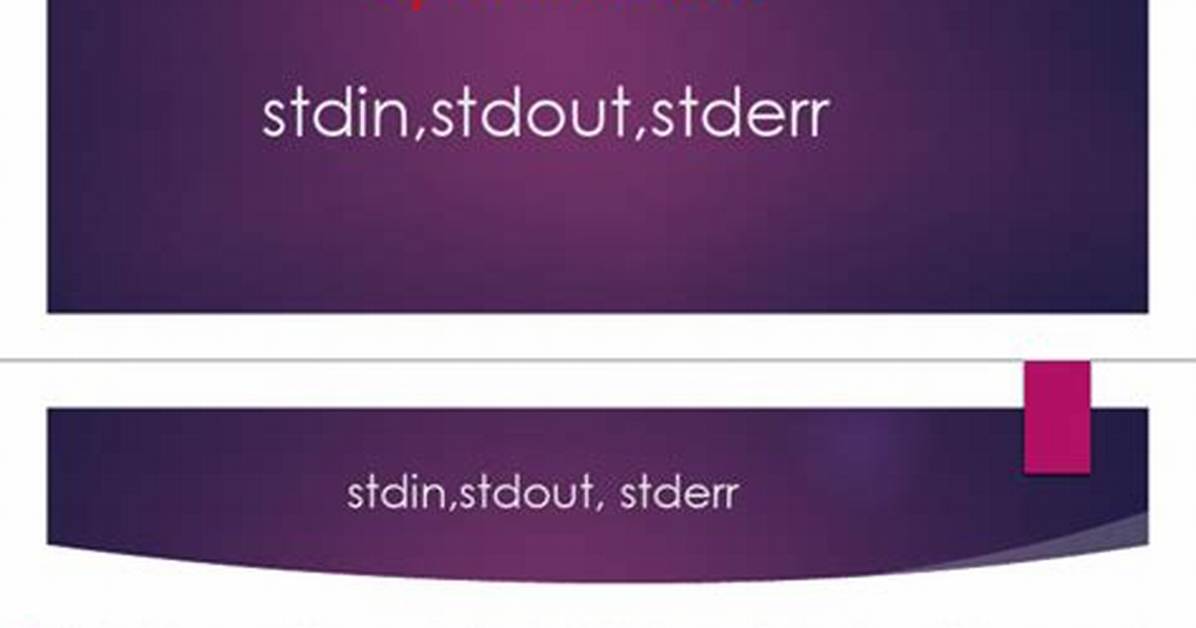 Flush/Clear System. in (Stdin) Before Reading