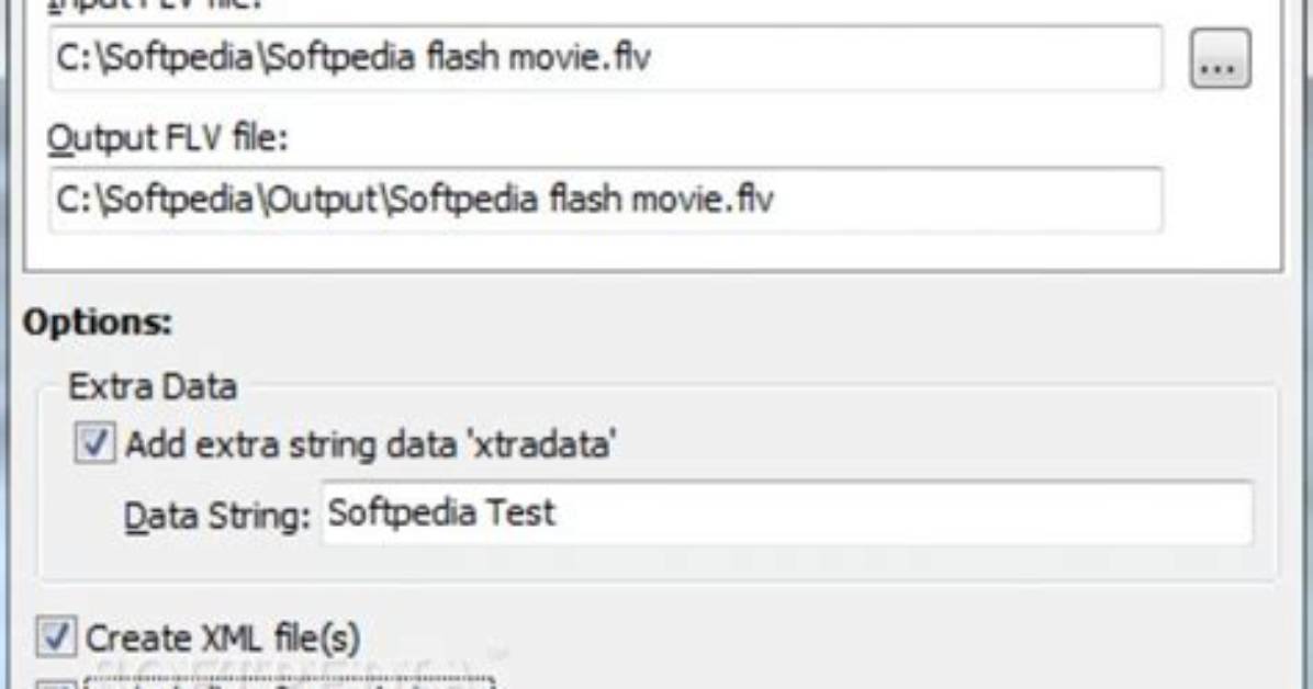 Flv Metadata Editor Gui