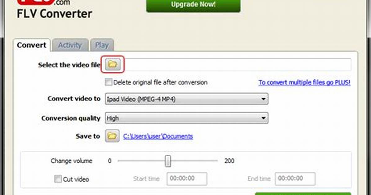 Flv to Mp3 Converter
