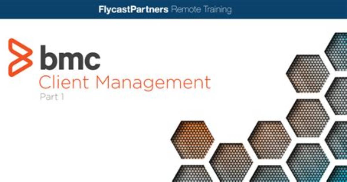 Flycast Partners Incorporated - Bmc Software