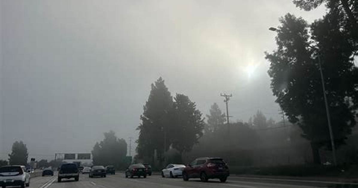 Foggy Mornings in Truckee | News