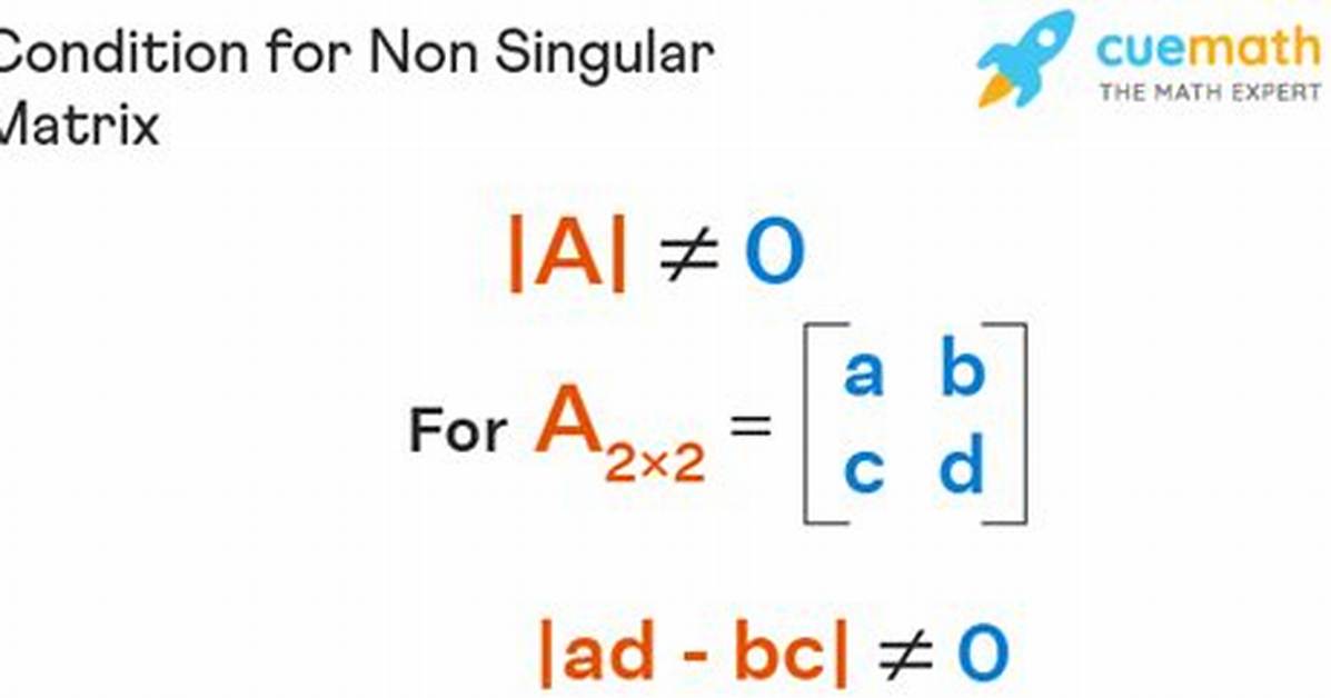 For a Non-Singular Matrix a?