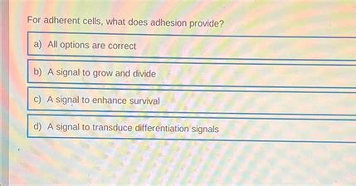 For Adherent Cells What Does Adhesion Provide?