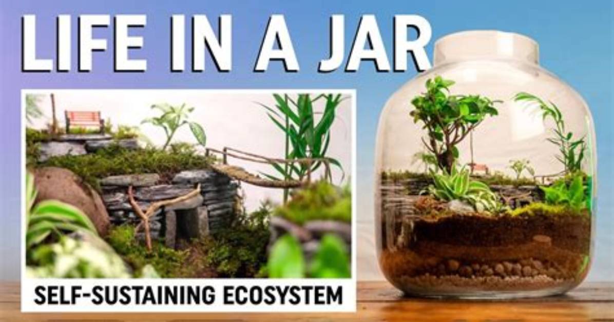 For an Ecosystem to Be Self-Sustaining It Must?