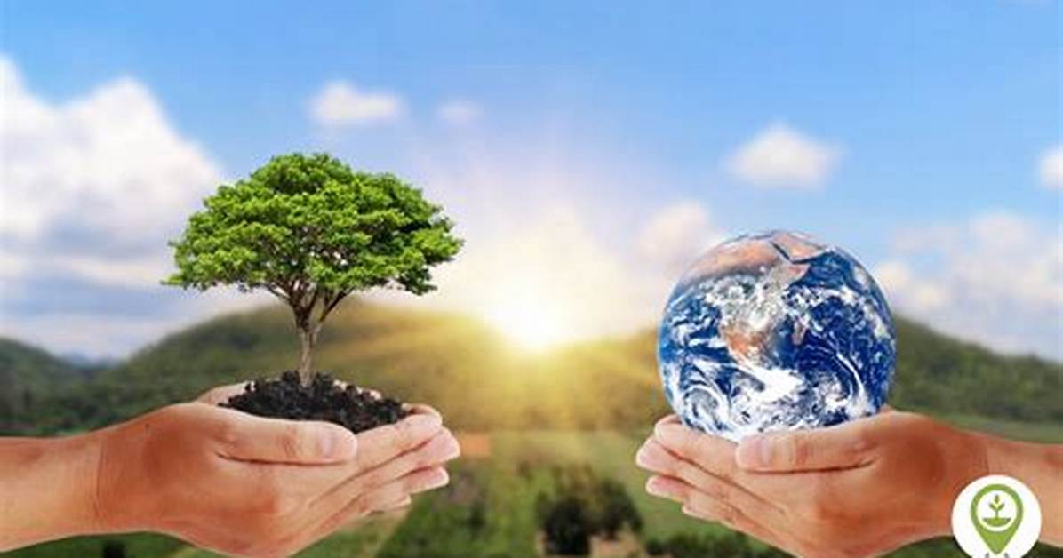 For Conserve the Environment?