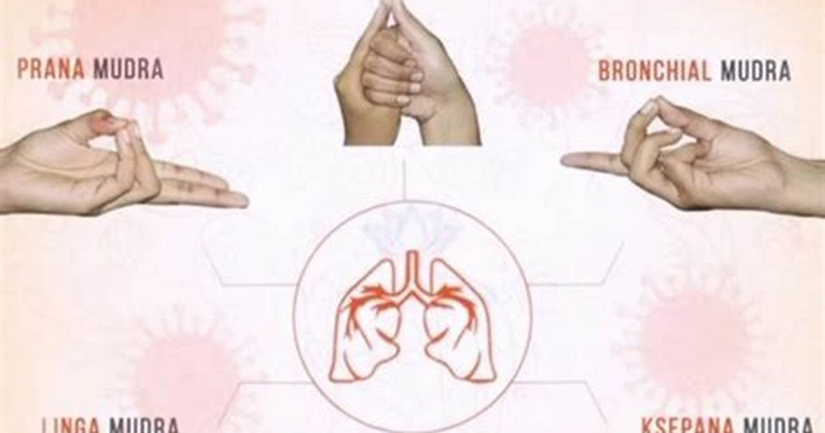 For Lungs Which Mudra?