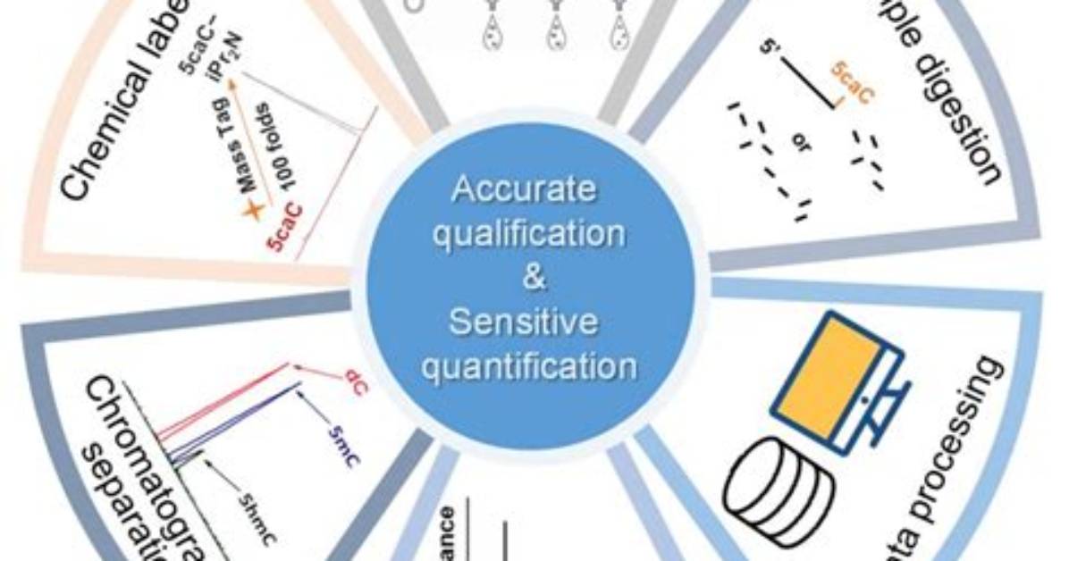 For Nucleic Acid Quantification?