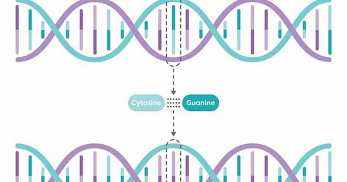 For Single Nucleotide Polymorphisms?
