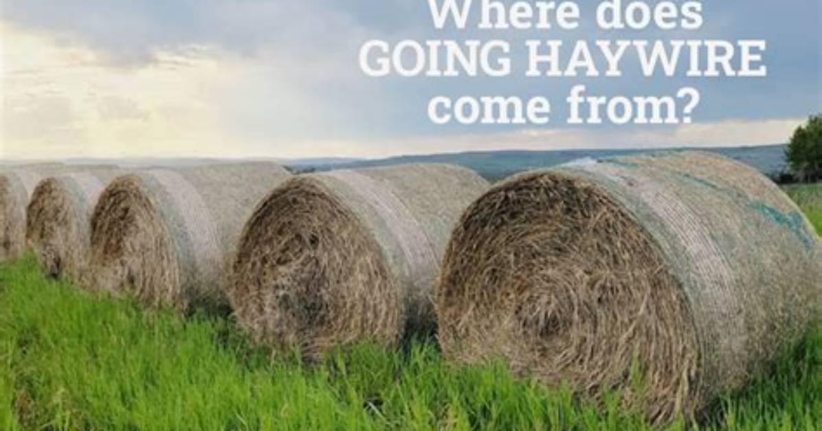For to Go Haywire?