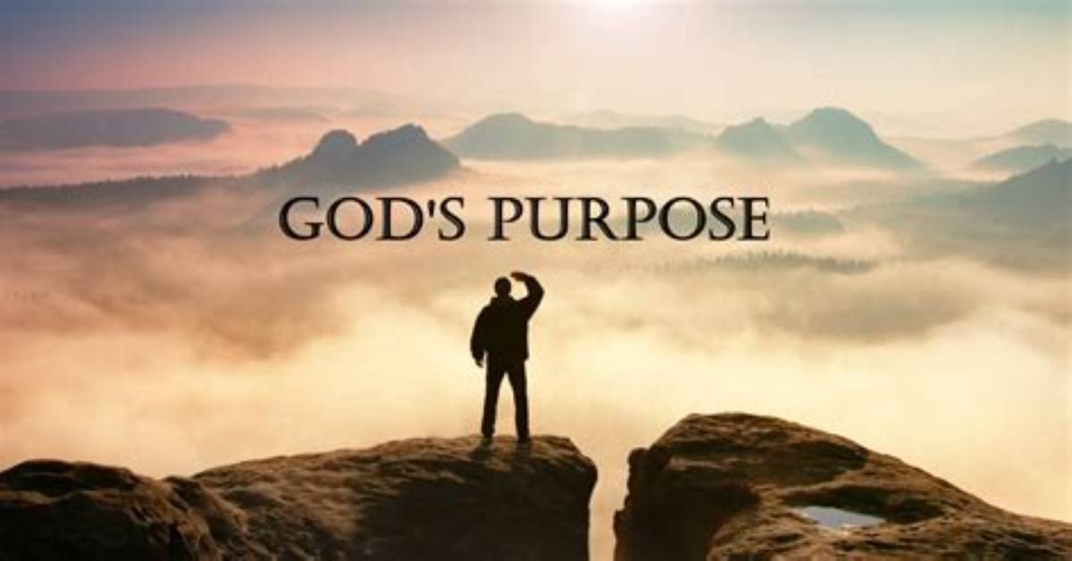 For What Purpose Do the Gods Create Enkidu?