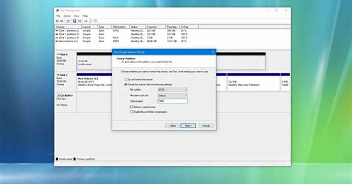 Formatting Multiple Drives in a Server Through Sg Utils in Parallel