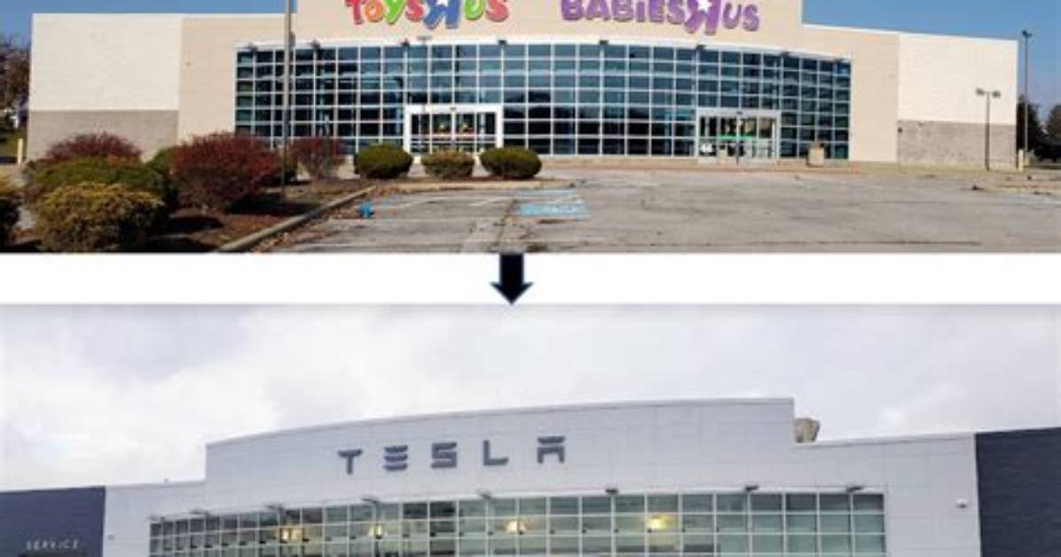 Former Toys R Us Buildings to Reopen as New Stores in South Florida