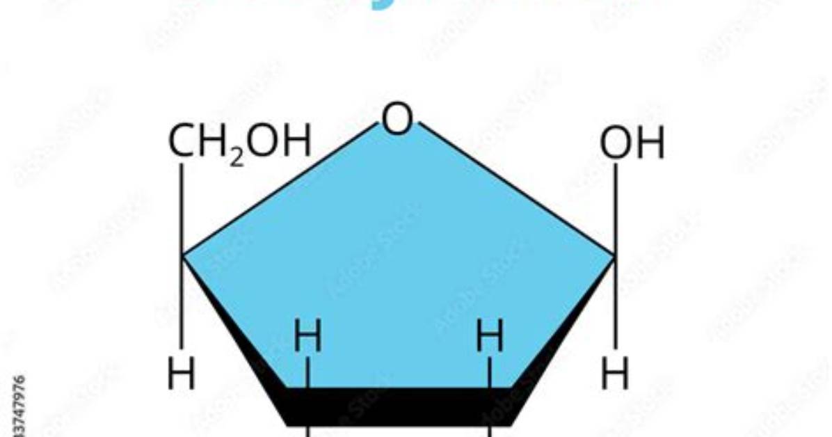 Formula for Deoxyribose Sugar?