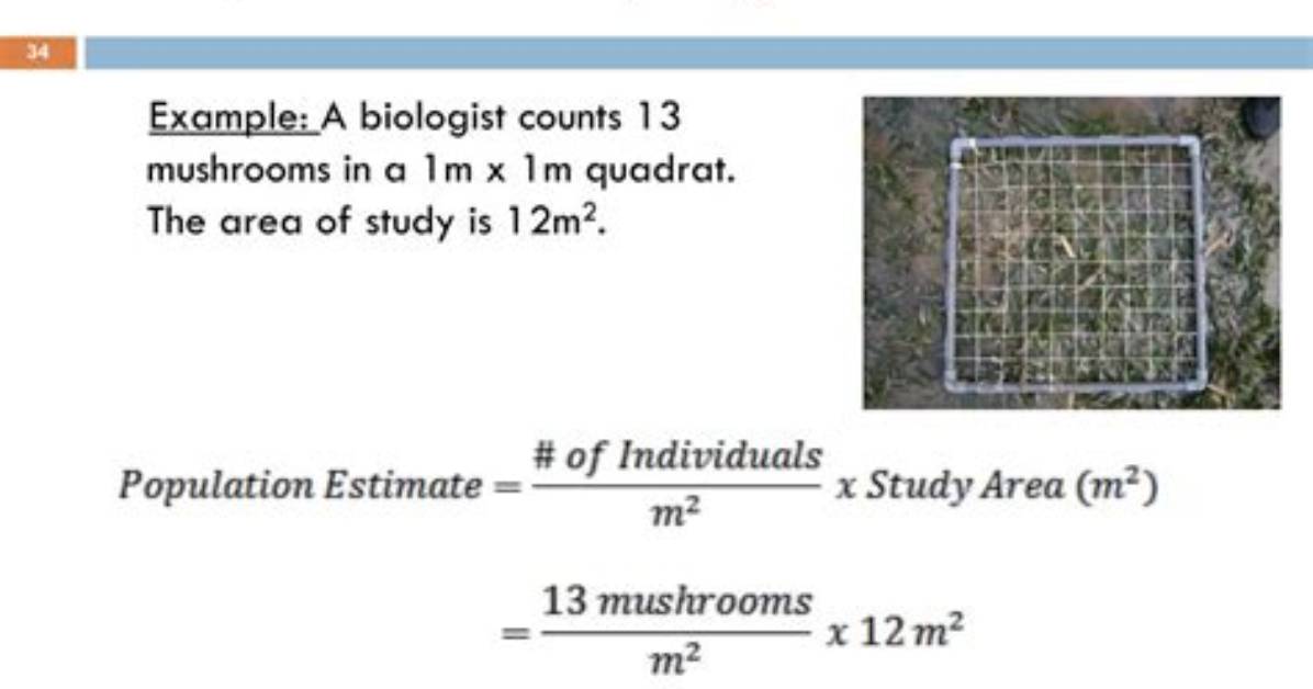 Formula for Quadrat Sampling?