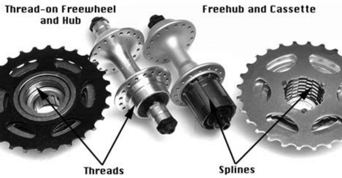 Freehub vs Freewheel