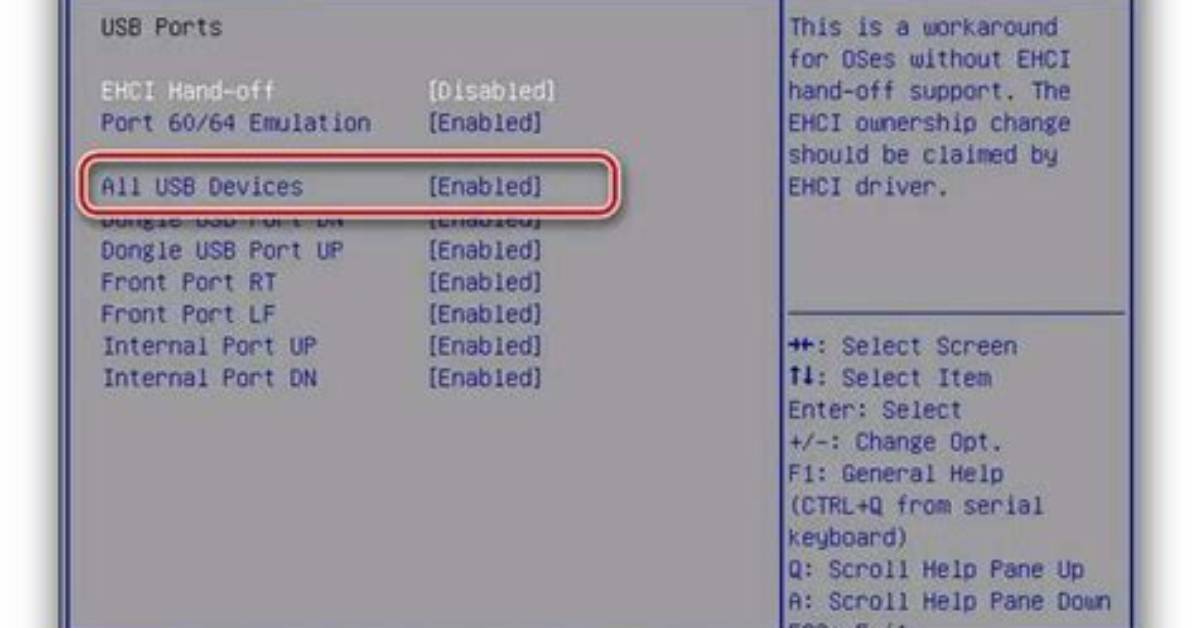 Frequent Question: How Do I Enable Usb Debugging on Android with Broken Screen?